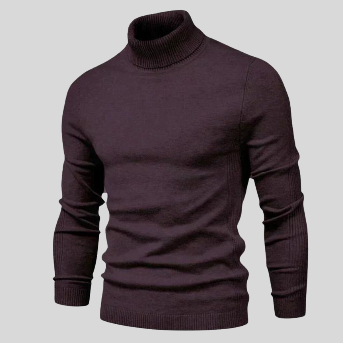 Howard | Perfect Fit Turtleneck Sweater
