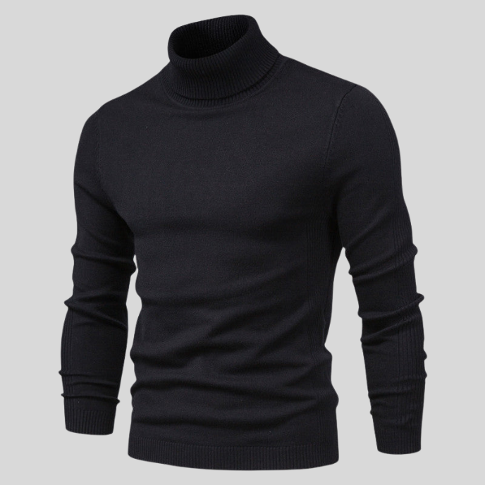 Howard | Perfect Fit Turtleneck Sweater